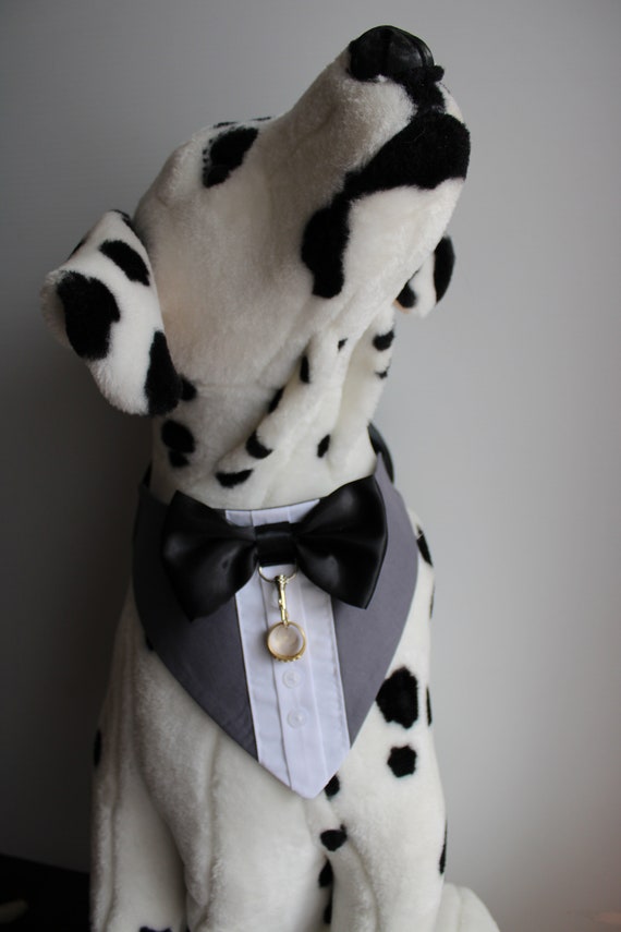 dog ring bearer bandana