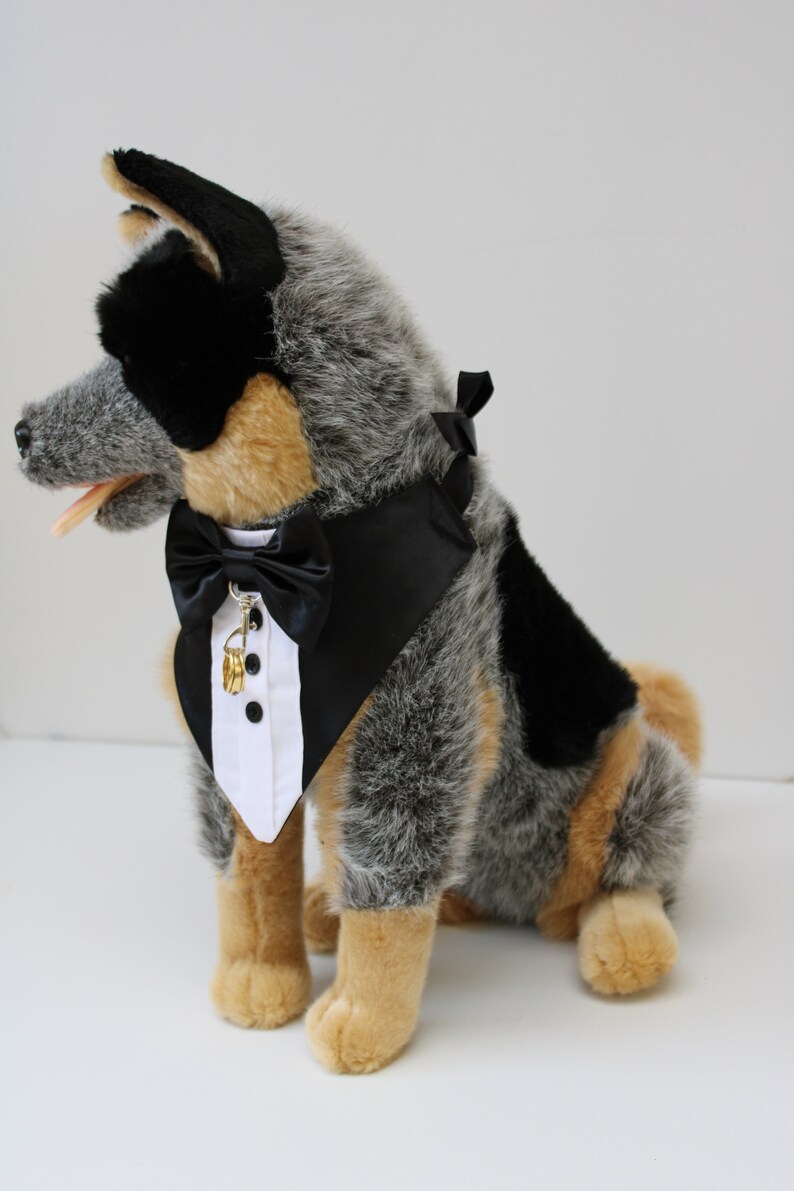 dog ring bearer bandana