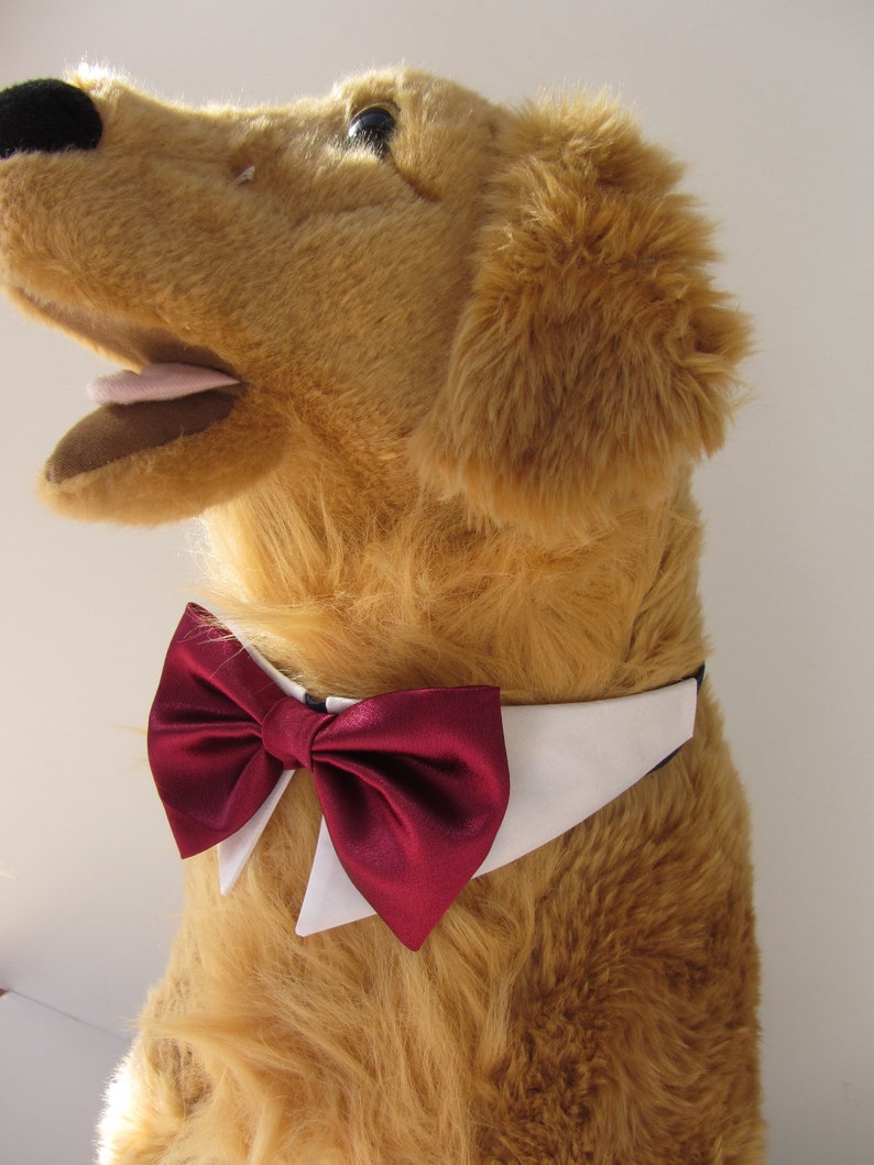 Dog Tuxedo Bow Tie Collar in Burgundy Wedding Clothes Neckwear Etsy