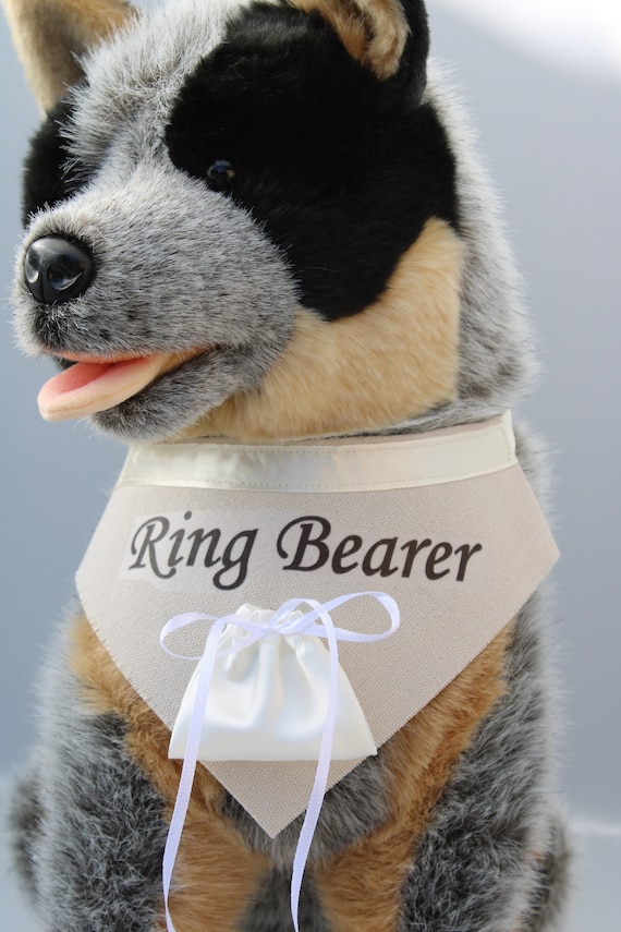 dog ring bearer outfit