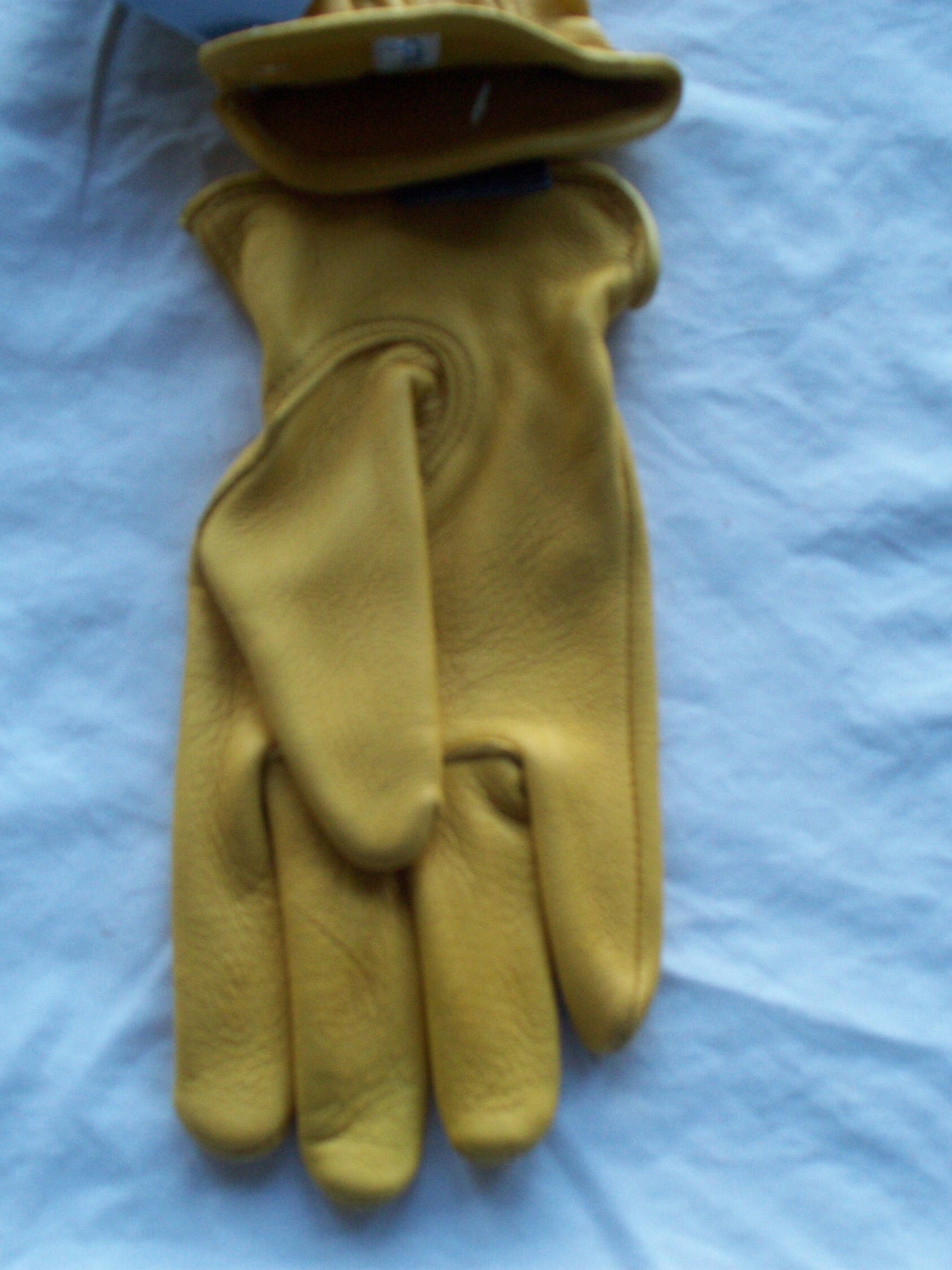 Deerskin and Elk Skin Gloves, Lined and Unlined, for Men and Women