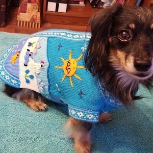May include: A small dog wearing a light blue sweater with a whimsical design. The sweater features a yellow sun, embroidered flowers, and other colorful details. The dog is on a turquoise surface.