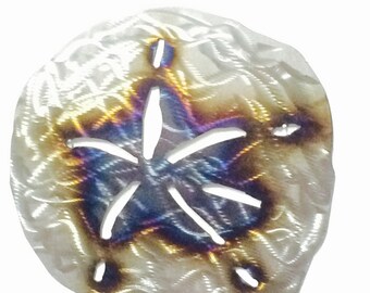 Può includere: Un dollaro di sabbia in metallo con una superficie testurizzata e una finitura arcobaleno iridescente. Il dollaro di sabbia è tagliato per mostrare la forma a stella all'interno.