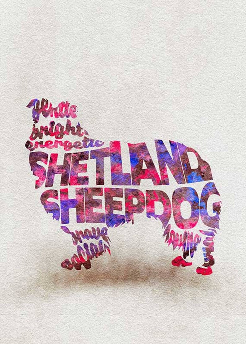 Shetland Sheepdog Typographic Watercolor Painting Sheltie Gift and Dog Portrait Sheltie Memorial Shetland Sheepdog Art Sheltie Art Print