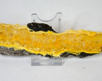 Bubble Bee Jasper, polished, top quality, rare, unique piece no. 3