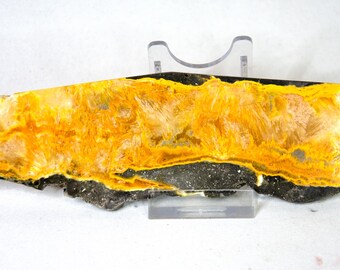 Bubble Bee Jasper, polished, top quality
