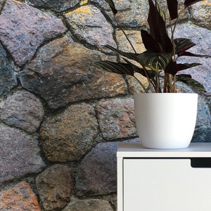 May include: A white side table with a single drawer and wooden legs. A white planter with a green and burgundy plant sits on top of the table. The table is in front of a wall with a stone pattern.