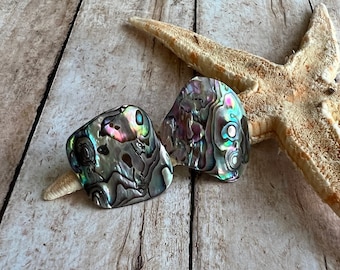 Abalone Stud Earrings, Abalone Earrings, Natural Shell Earrings, paua shell