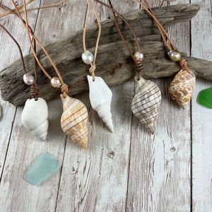 May include: Six shell necklaces with brown leather cords and pearl accents. The shells are various shapes and colours, including white, brown, and tan.