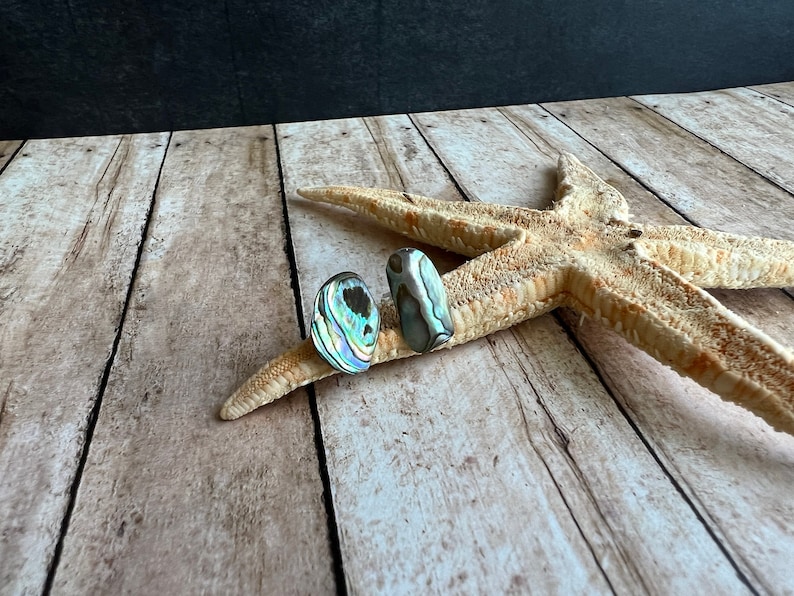 Natural Abalone Stud Earrings, Stainless Steel Posts