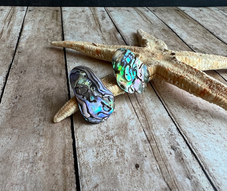 Abalone Stud Earrings, Natural Paua Shell, Stainless Steel