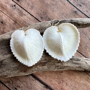 Heart Shell Earrings, Heart Cockle Shell Earrings, Bridal Jewelry, Bridal Gifts image 6