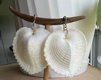 Heart Shell Earrings, Heart Cockle Shell Earrings, Bridal Jewelry, Bridal Gifts