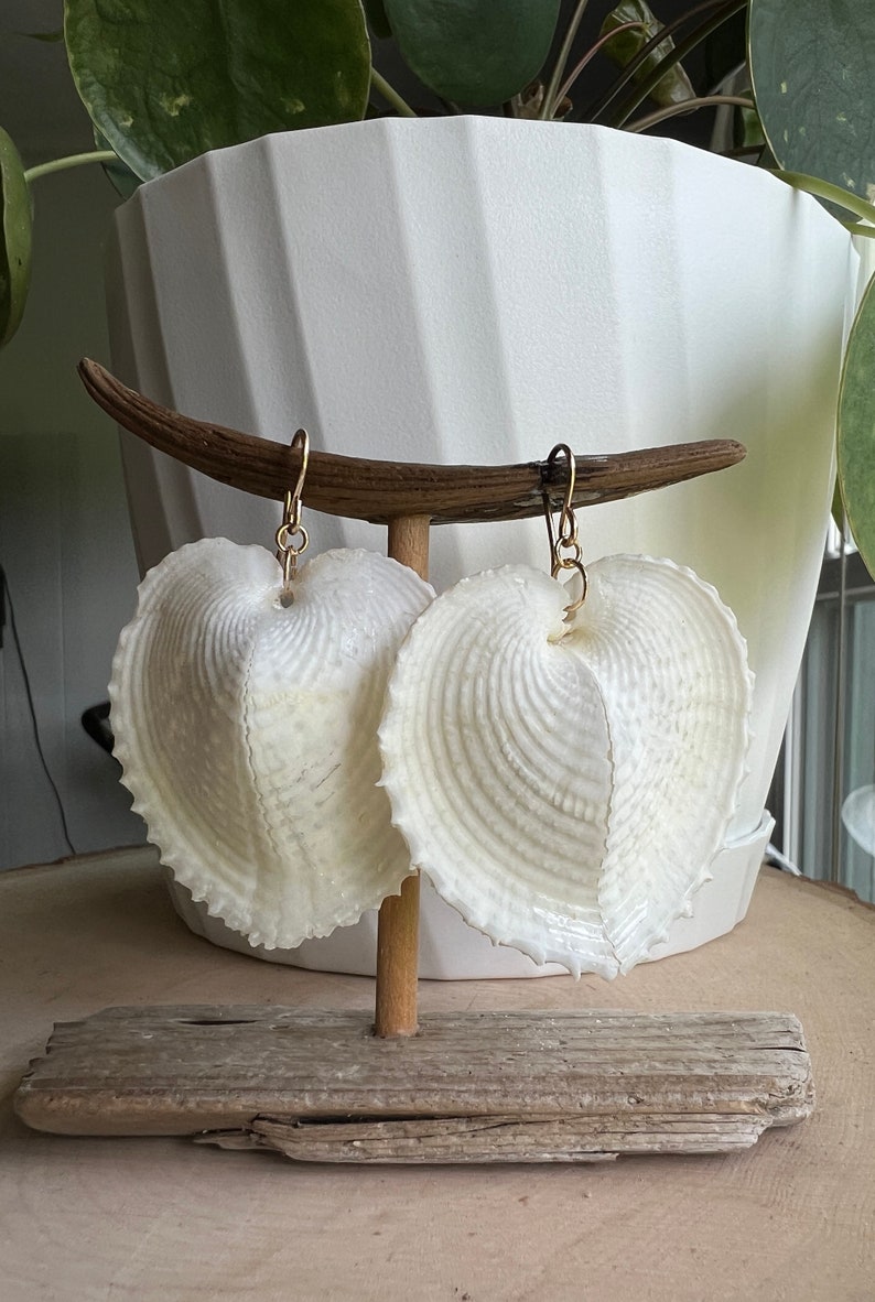 Heart Shell Earrings, Heart Cockle Shell Earrings, Bridal Jewelry, Bridal Gifts Gold Fill