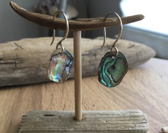 Abalone Earrings, Shell Earrings