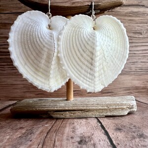 Heart Shell Earrings, Heart Cockle Shell Earrings, Bridal Jewelry, Bridal Gifts image 10