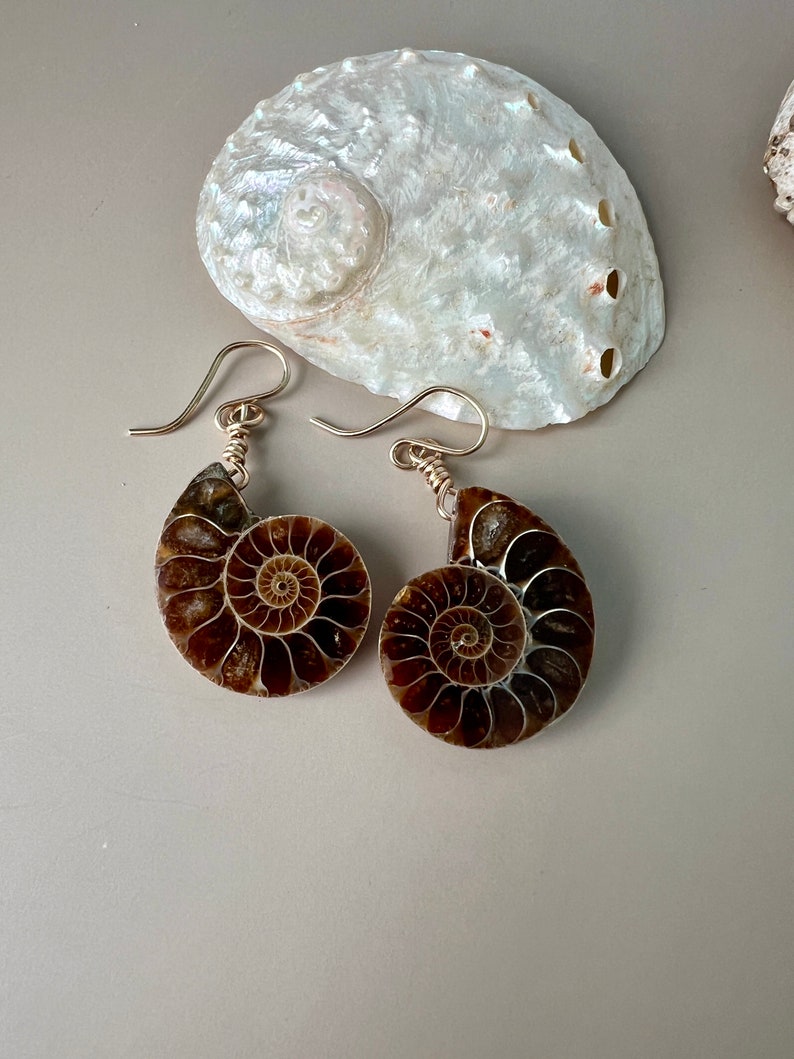 Ammonite Fossil Earrings, Gemstone Earrings, Genuine Fossils image 4