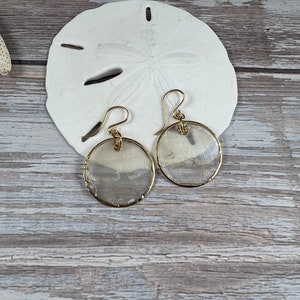 Capiz Shell Earrings, Small Shell Jewelry, Natural Shell Earrings image 7