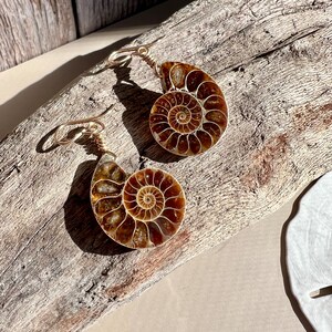 Ammonite Fossil Earrings, Gemstone Earrings, Genuine Fossils image 2