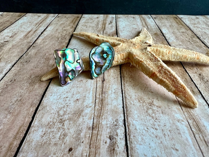Abalone Shell Stud Earrings, Stainless Steel, Iridescent