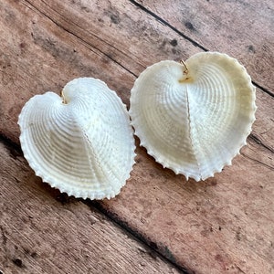 Heart Shell Earrings, Heart Cockle Shell Earrings, Bridal Jewelry, Bridal Gifts image 5