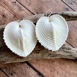 Heart Shell Earrings, Heart Cockle Shell Earrings, Bridal Jewelry, Bridal Gifts image 7