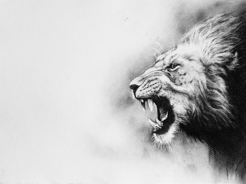 Black And White Lion Print Charcoal Print Big Cat Drawing King Of The Jungle Animal Portrait Lion Giclee Print Home Decor Gift
