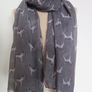 Border Terrier Dog Print Infinity/Oblong Scarf For Women Gift Accessories