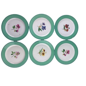 6 Antique Hand Painted Multi-Motif Floral Botanical Dessert Plates 9&quot; As-Is