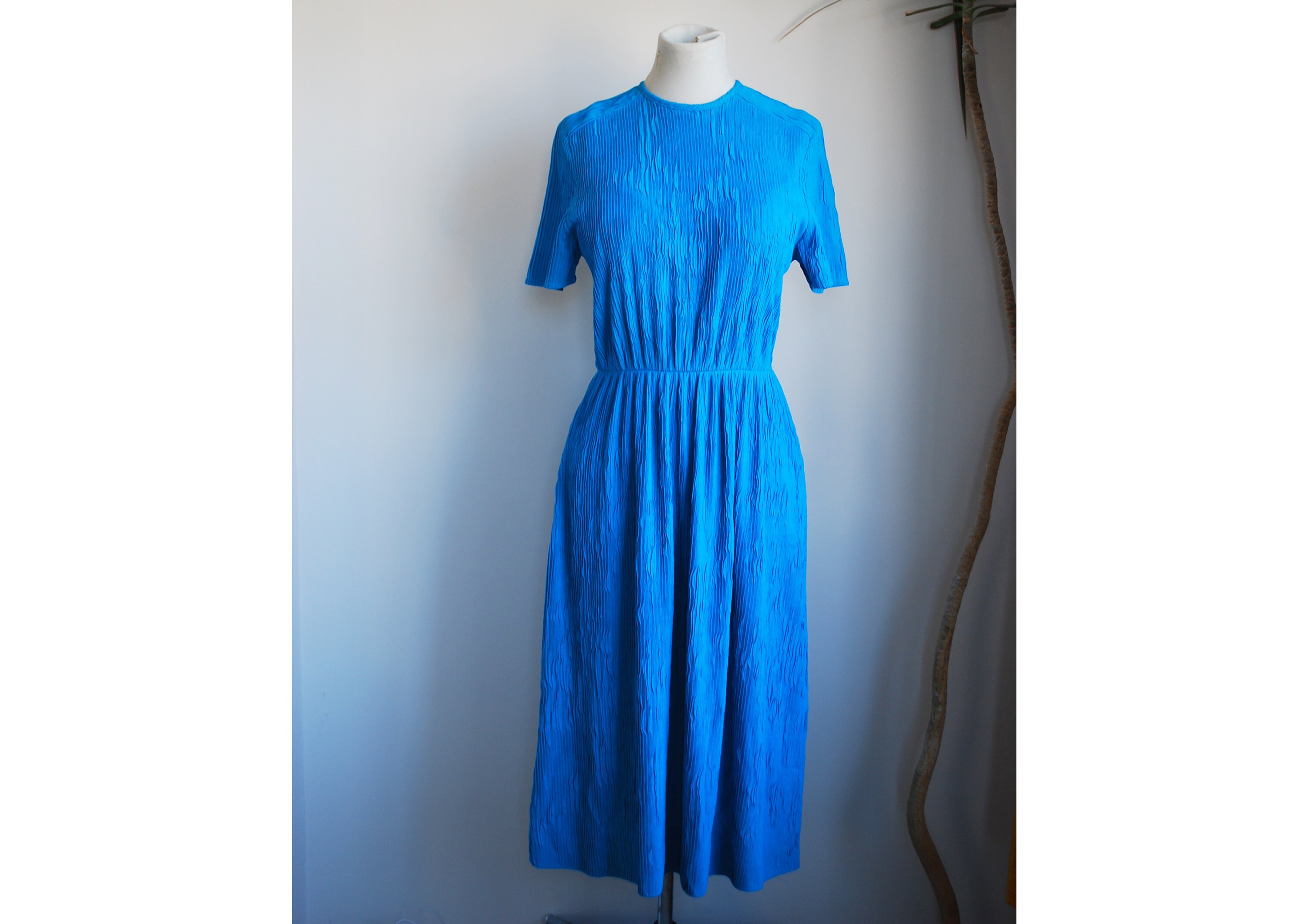 dress size 12 in eu