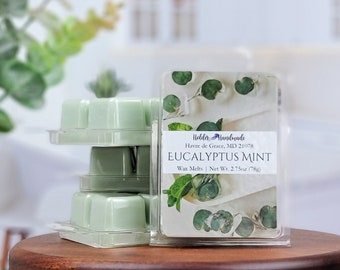 Eucalyptus Mint Wax Melts for Wax Warmer - Wax Melt Clamshell Pack - Cubed Wax Melts for Wax Warmer - Eucalyptus Mint Fresh Clean Melts