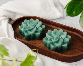 Rosemary Mint Succulent Bar Soap with Aloe Vera - Handcrafted Artisan Soap - Glycerin Bar Soap - Succulent Plant Soap Bar