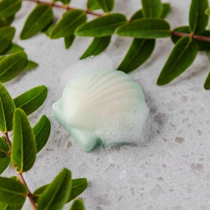 Frosted Sea Glass Seashell Goat Milk Soap Novelty Glycerin Scallop Shell Soap Handcrafted Artisan Glycerin Bar Soap Novelty Beach Soap image 3