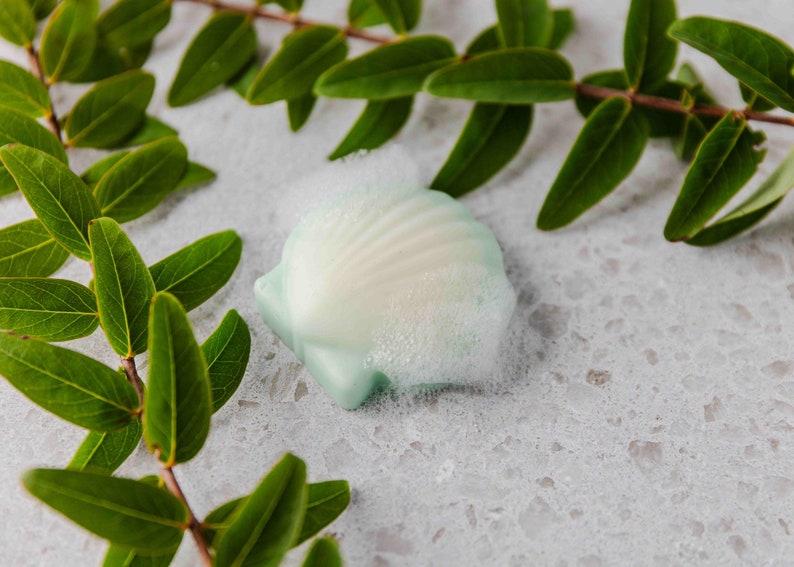 Frosted Sea Glass Seashell Goat Milk Soap Novelty Glycerin Scallop Shell Soap Handcrafted Artisan Glycerin Bar Soap Novelty Beach Soap image 3