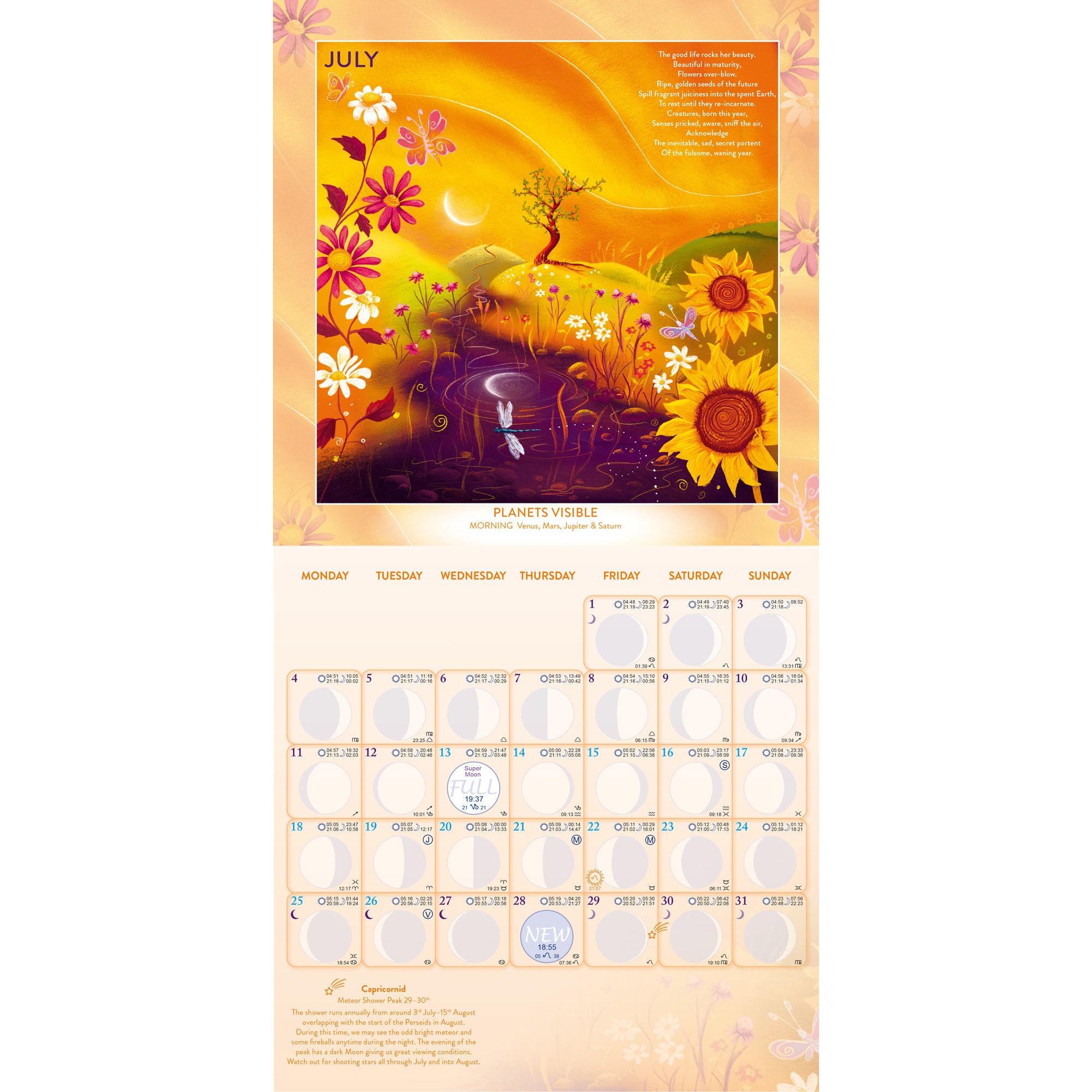 Seasons & Cycles MOON CALENDAR 2022 | Etsy