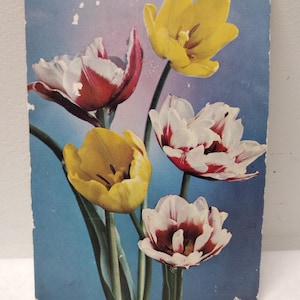 Cartão postal vintage soviético russo com flores de tulipas de cores mistas, cartão postal branco não utilizado da União Soviética, artesanato floral de flores da URSS, fornecimento de origami 1968
