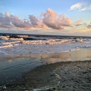 Folly Beach Sunset Seascape: Coastal Birds Art Print (Digital Download)