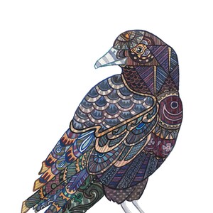 American Crow Watercolor Signed Archival Print // 9 x 12 Size // 11 x 14 Matted Size // Bird Art
