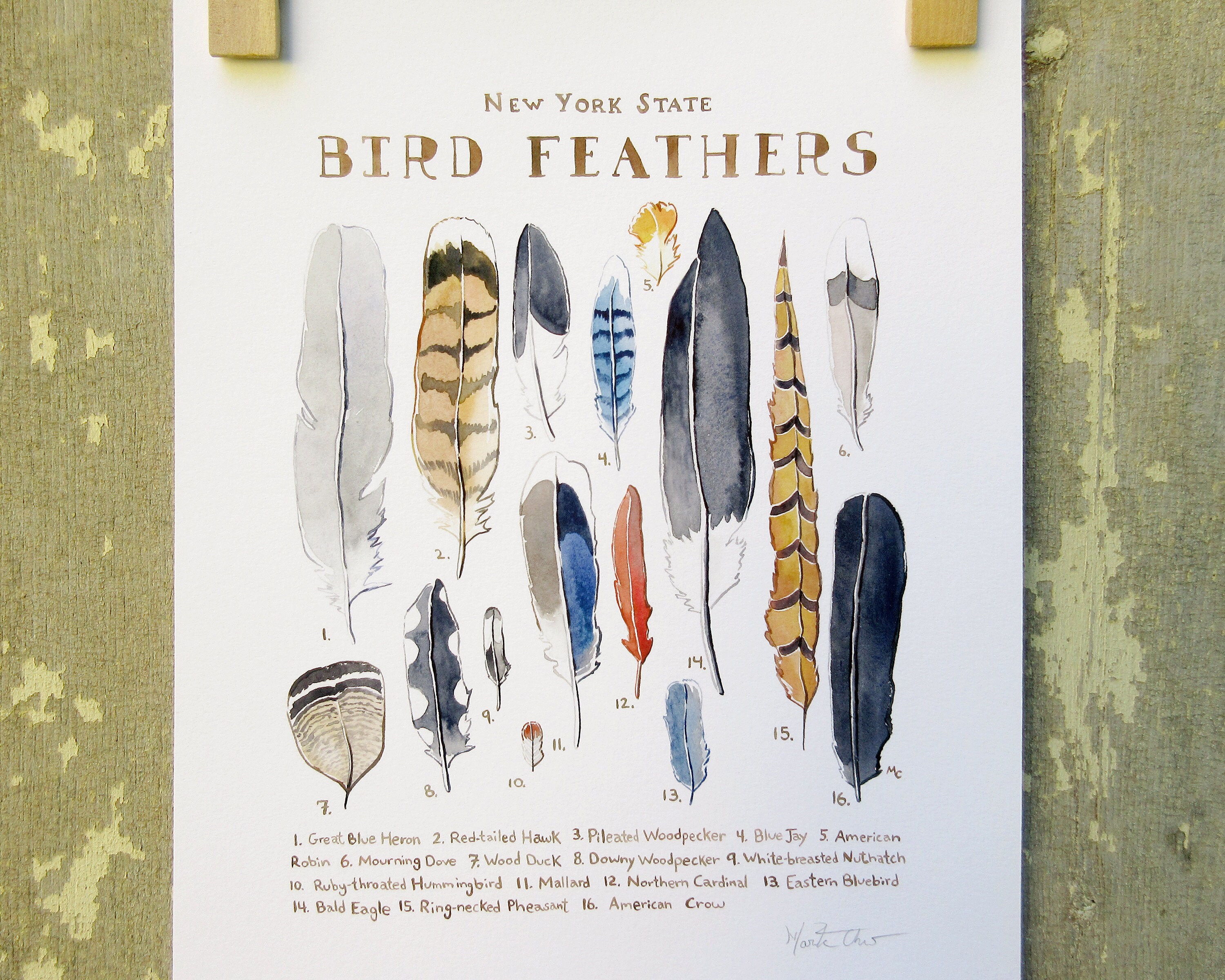 8月20日削除！ BIRDS OF A FEATHER 142 Billie Eilish - BIRDS OF A FEATHER (Lyrics) (432Hz) - YouTube