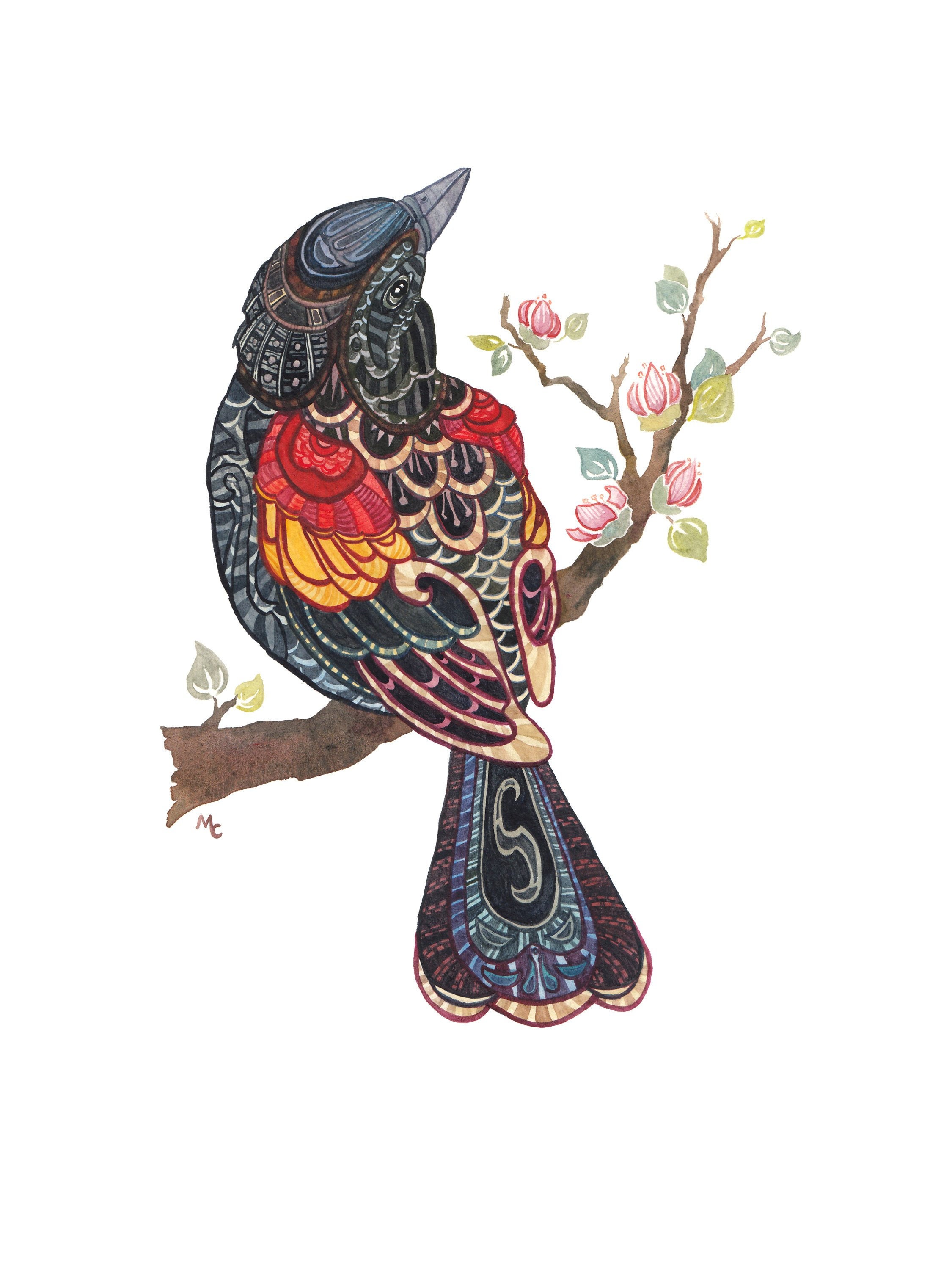 Redwinged blackbirds are a sign of change and transformation They  represent the power of love and compassion as well as the need to take   Instagram