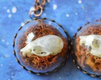 Mouse Skull Pendant - Memento Mori