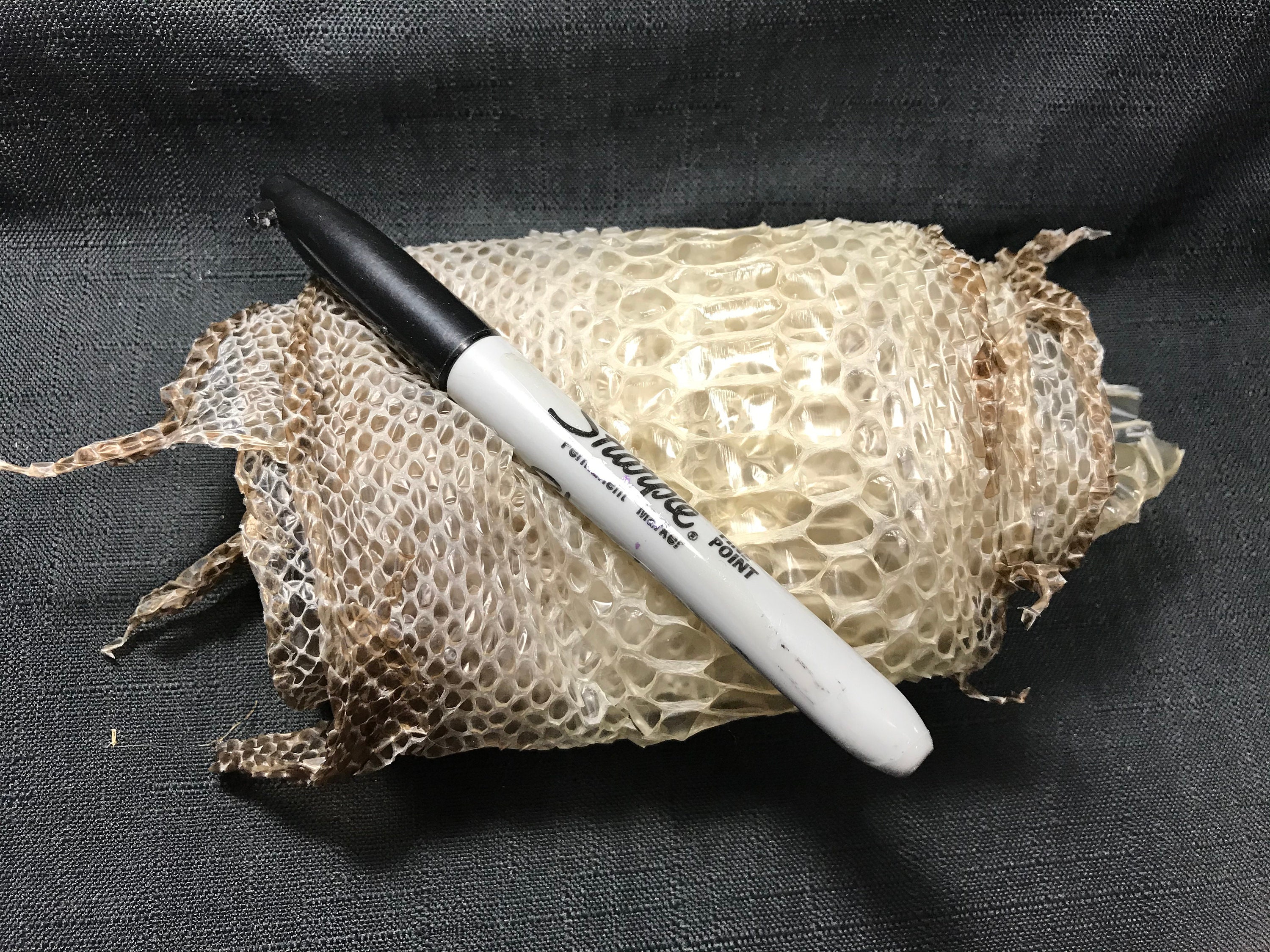 moist hide for ball python moist hide for ball python