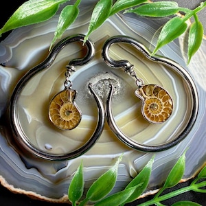 May include: A pair of silver-toned earrings with a spiral fossil pendant. The earrings are hoop-style with a curved design. The fossil pendants are a light brown color with a detailed spiral pattern. The earrings are displayed on a marbled surface.