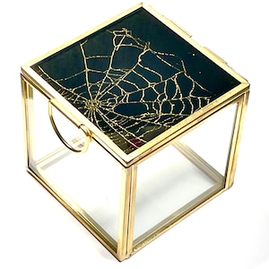 Spiderweb Trinket Box REAL Preserved Spider Web on 3" Cube Box