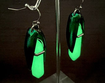 Glow in the Dark Firefly Lightning Bug Earrings phosphorescent Real Emerald Beetle Insect Wing Glow Worm dangle with your choice of hook