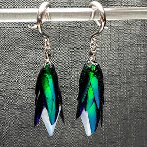 Emerald Beetle & Opalite Ear Hangers