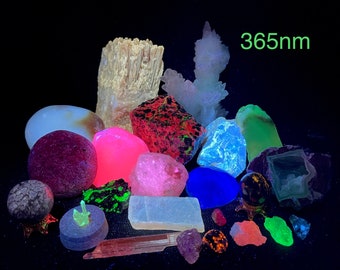 23 pc. Fluorescent Mineral Specimen Sample Collection Blacklight UV Reactive Stones with UV keychain longwave 365nm glowing mineral samples