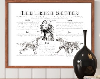Póster vintage de setter irlandés: Impresión con dibujo de conformación corporal de estilo antiguo (descarga digital)