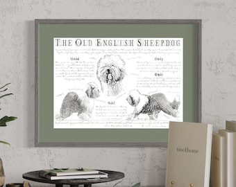 Old English sheepdog poster - Antique styled dog breed chart - Bobtail portre - Handmade