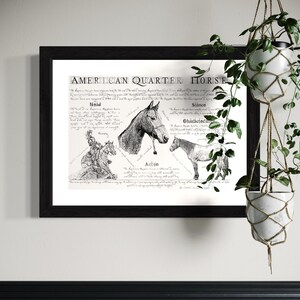 Puede incluir: Una ilustraci&oacute;n en blanco y negro de un caballo American Quarter Horse con texto que describe las caracter&iacute;sticas de la raza, incluyendo 'Hold', 'Stance', 'Character' y 'Action'.
